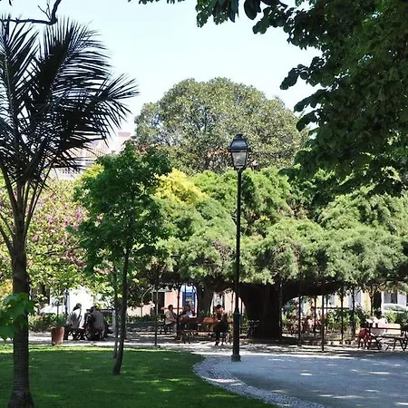 Dpj Romantic Jardim - Lift! - Pr.real/bairro Alto! Lisbon