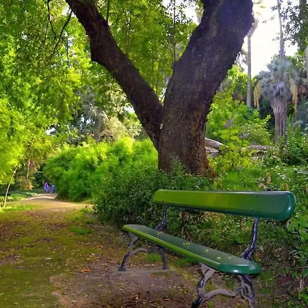 Dpj Romantic Jardim - Lift! - Pr.real/bairro Alto! * Lisbon